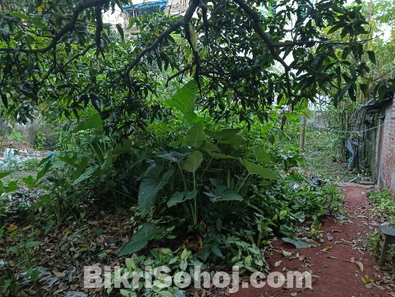 Land Sell at Rajshahi